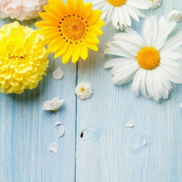 Meet your Posher, Jenny - Picture 1 of 1